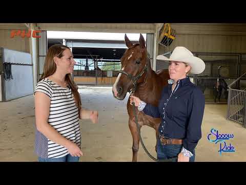 NCHA Summer Spectacular 5/6YO Non-Pro Champions - Kylie Rice & Crey Zee
