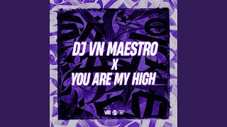 Cover art for You are my high funk