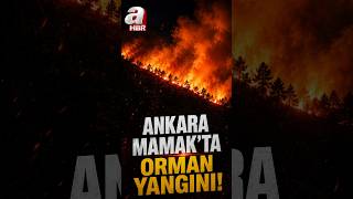 Ankara Mamak'ta Orman Yangını! #shorts