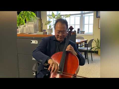 #SongsOfComfort: Saint-Saëns - The Swan