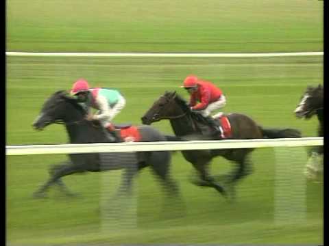 Sample Demonstration Race