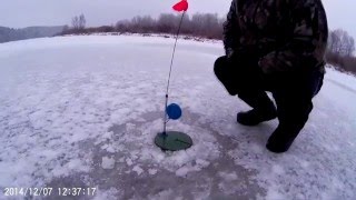 Ловля щуки на жерлицы по старице
