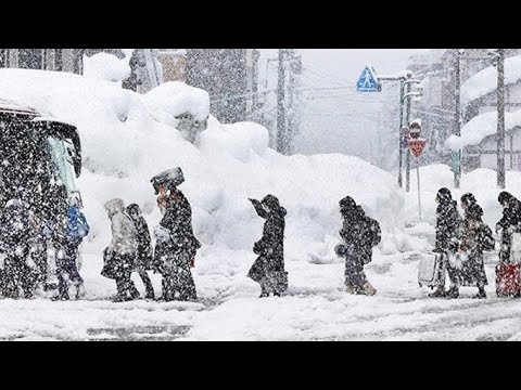Brutal Chaos in Japan | Blizzard Madness Buries Homes and Vehicles in Sapporo, Hokkaido