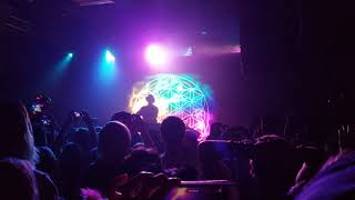 Ace of cups - LSDream