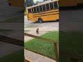 Adorable Puppy Welcomes Kid Home From School!