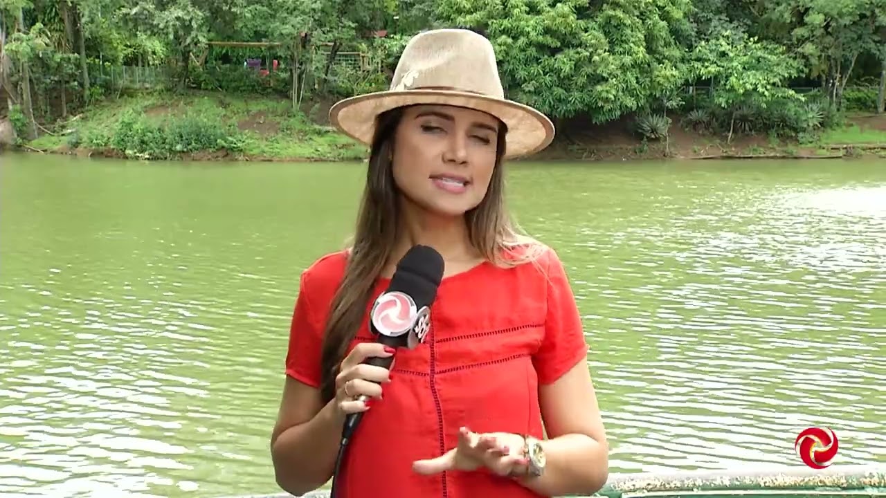 Vaca do Sul de Minas é destaque nacional