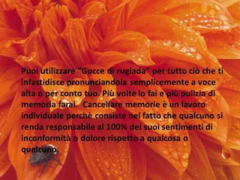 Chi si è liberato da alcolismo da metodi nazionali Lerba che aiuta lalcolismo