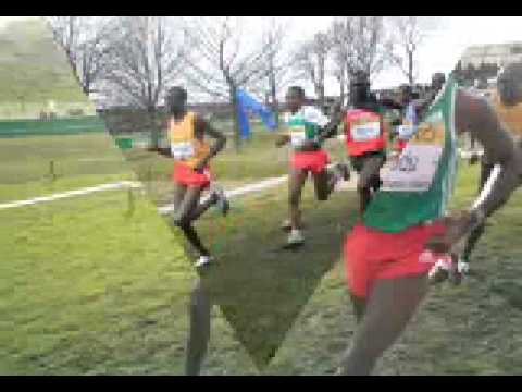 world cross country championships 2008