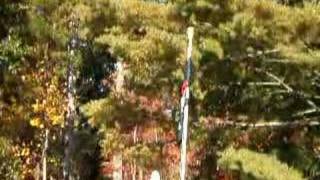 A Pirate In the Water