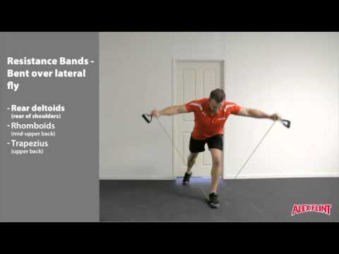 High Banded Rear Delt Raise Resistance Band Deltoid Exercises 2025 - Main Image