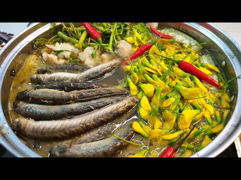 LẨU MẮM CÁ KÈO thơm ngon đặc sản miền tây - món ngon dễ làm