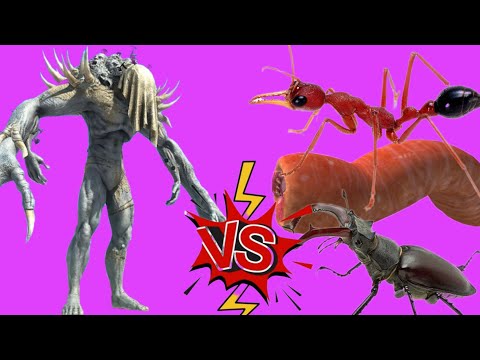 🐜 Giant Invertebrates VS Scourge! Who win? Animal Revolt Battle Simulator mobile.