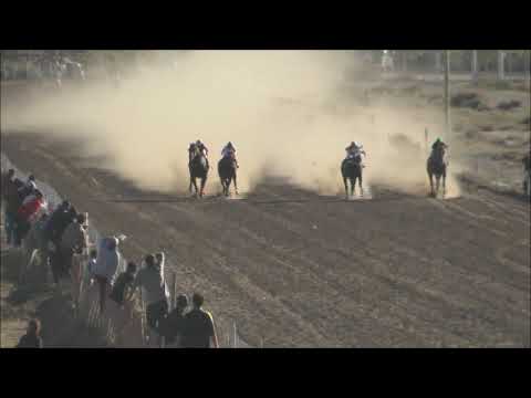 Club Hipico "Añelo"  15-05-2022  DON NOTABLE