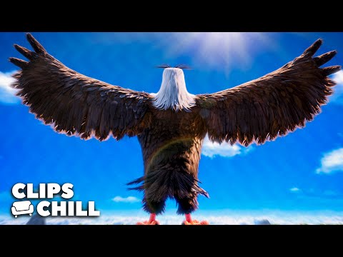 Die erste Begegnung mit dem mächtigen Adler | Angry Birds: Der Film