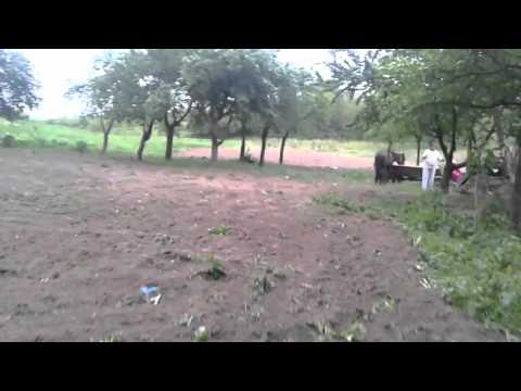 Vând teren 12.000  mp in județul Galați comuna Drăguşeni sat Căuieşti.Terenul este intravilan,