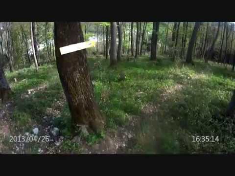 MTBLilienfeldTarschbergOsterkogel