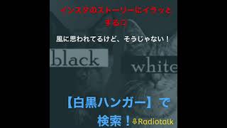【白黒ハンガーのちょっとスキマに放送局】切り抜き【インスタのイラッとくるストーリー選手権！ 】#ラジオ#ラジオチャンネル #インスタ #白黒ハンガー