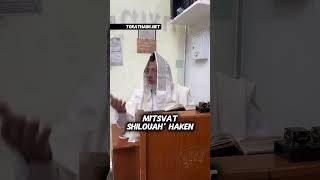 Mitsvat Shilouah Haken