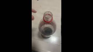 【衝撃】ペットボトルの飲み方知ってますか？？