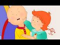 Big Brother Caillou Caillou S New Adventures