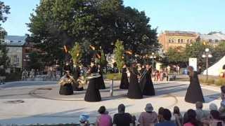 Chasing sheeps is best left to the shepherds par la Fanfare le SNOB