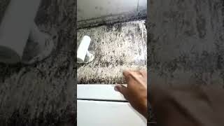 Painéis errados na Câmara causa isso