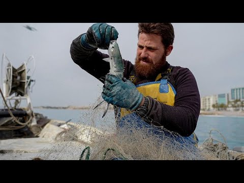 Weder Fisch noch Fleisch: London und Brüssel schlittern Fristende entgegen