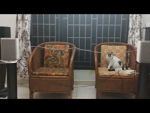 Dynaudio Xeo 10, Spotify bluetooth streaming