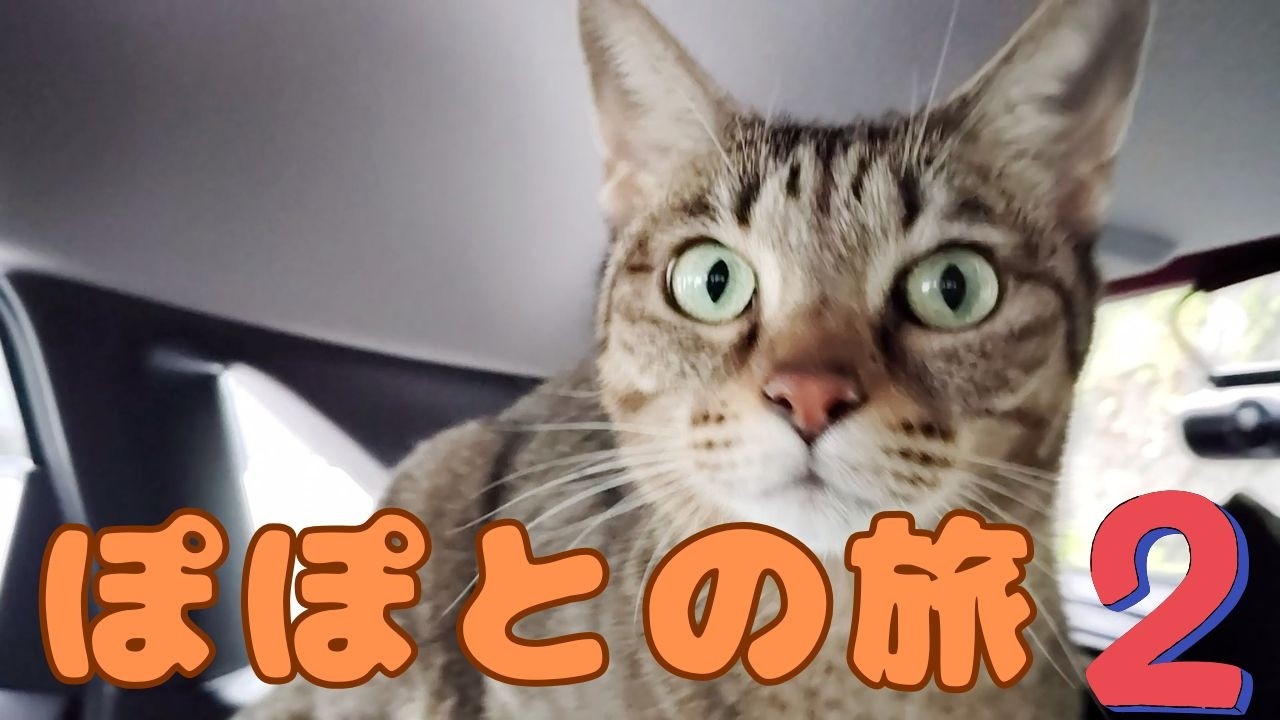 ぽぽとの旅　蒲郡②【Popo's Trip to Gamagori ②】