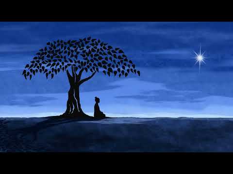 Tropical Bear - Shamanic Spirit