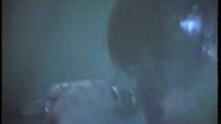 Skinny Puppy : Assimilate (Live at Horst 10.12.1986)