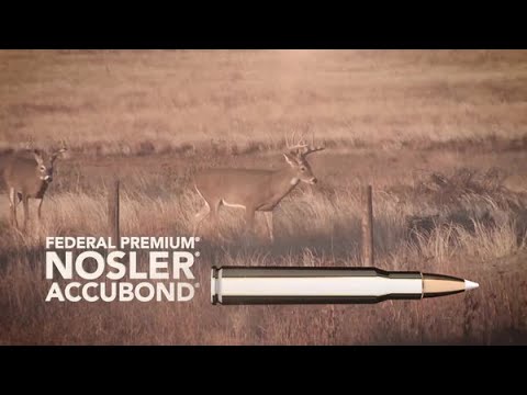 Expensive Ammo Worth the Price??? [Nosler vs Remington at the Range]