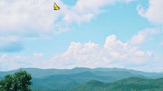 Download lagu The Brook & The Bluff - Prove You Wrong mp3 Download lagu The Brook & The Bluff - Prove You Wrong mp3