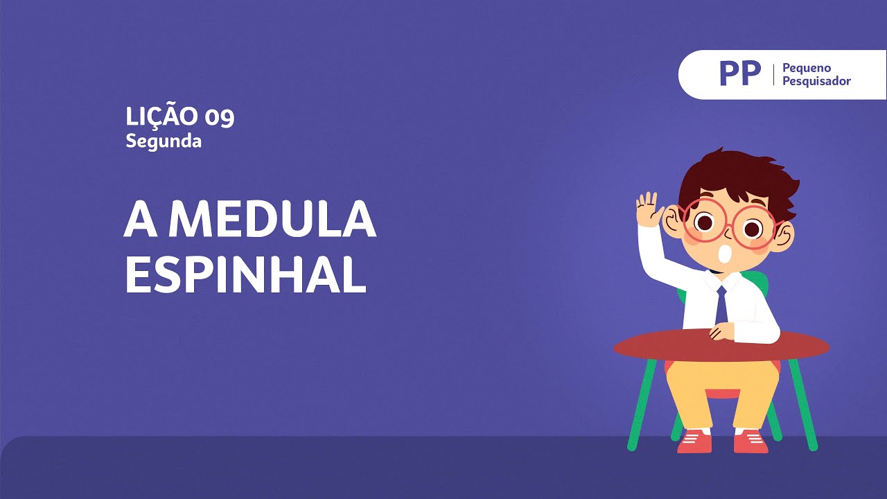 Medula espinhal | Segunda | Pequeno Pesquisador