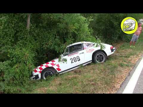Rally Salsomaggiore 2021 Crash Mistake