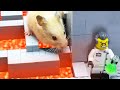 LEGO Land | Hamster Lego Obstacle Course | Giant Hamster Destroy Lego City | Lego Stop Motion