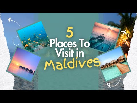 Unveiling Maldives: Discover the Top 5 Places to Visit in Maldives🏝️🐬 | City Tour Insight