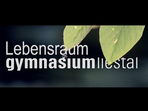 download lagu mp3 mp4 Gymliestal, download lagu Gymliestal gratis, unduh video klip Gymliestal