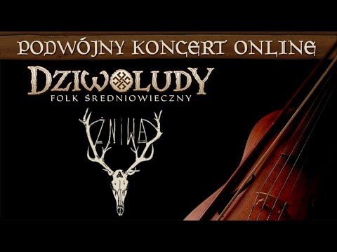 Na trakcie Żniw: Żniwa i Dziwoludy – live stream