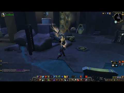 Bibliotheksarchiv - WoW Schatz (Zereth Mortis)