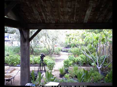 Day 12 The Perfumer's Garden in Grasse. @James Scapedesign @l'OCCITANE en Provence #RHSCelsea