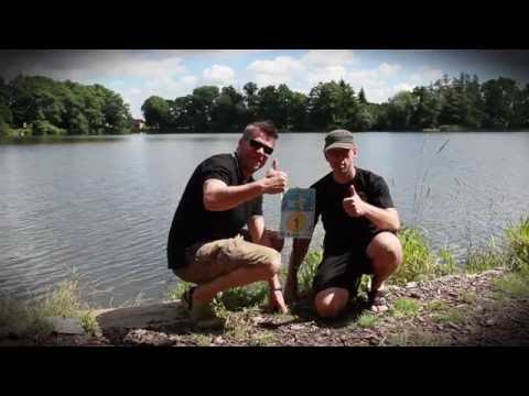 Kvalifikce na WCC 2016