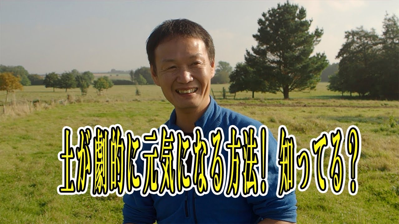 野菜の収穫量を増やす土壌改善法。地下30cmの層を正常化する手順