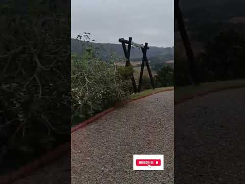Hospedagem Luana Ranch, Leoberto Leal, SC