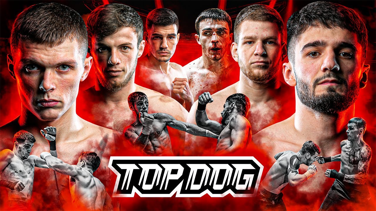 3 peleas fantásticas | Top Dog