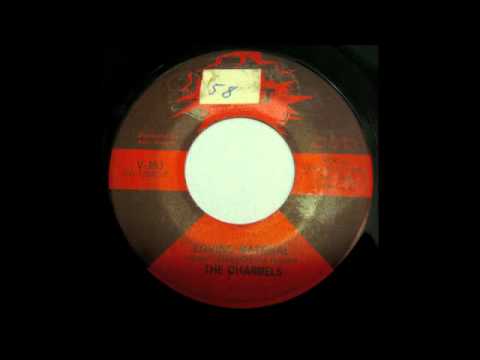 The Charmels - Loving Material (Volt) Soul Funk