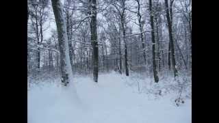 Röyksopp - Miss It So Much (+snow)