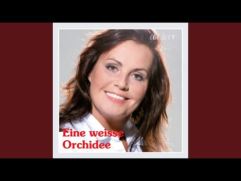 Ich Denke Immer Noch An Dich - Eva Adams