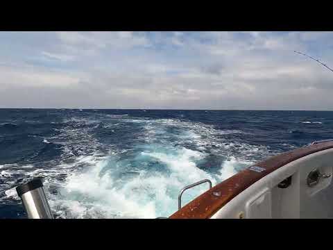 MY SISU moving in the Med