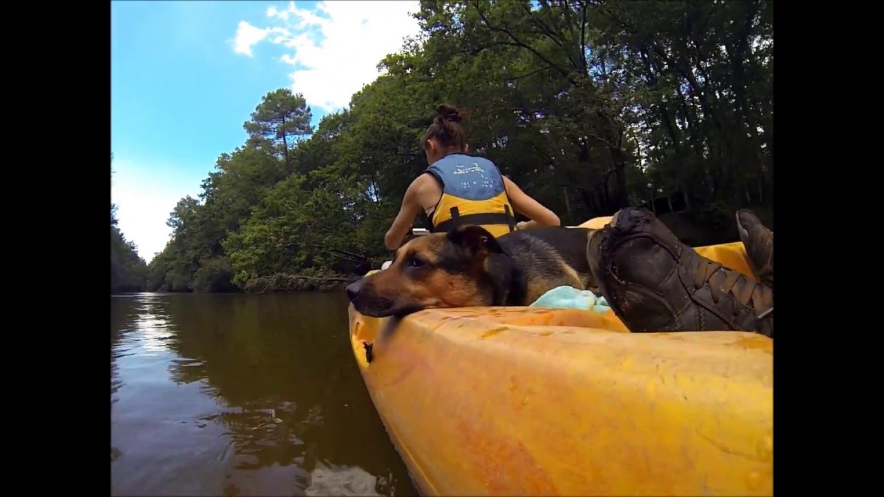 Courant d'Eyre location canoë kayak Biganos